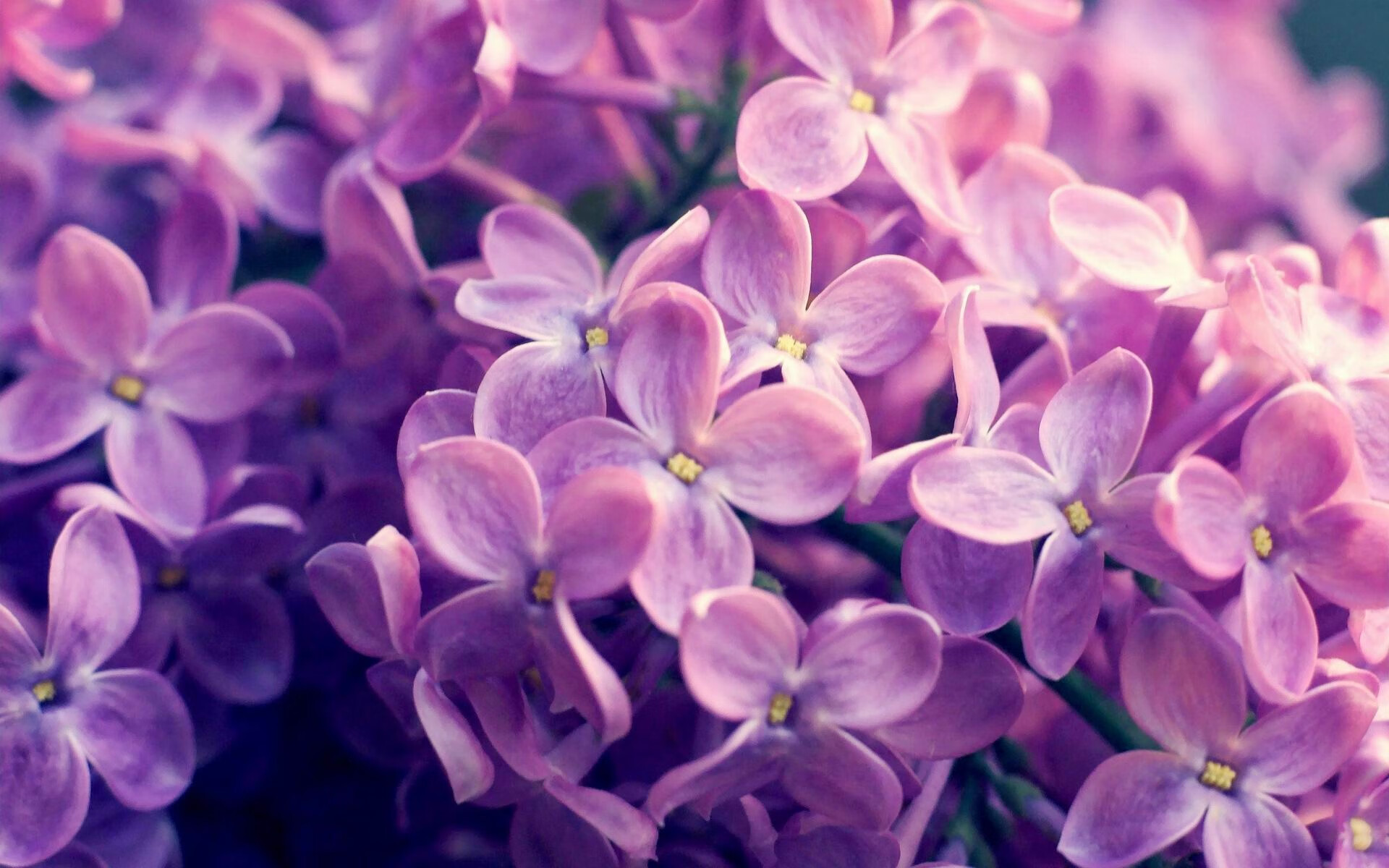 神锋拉亚一剑封喉!哥斯达黎加鏖战加时,气走伊拉克昂首晋级