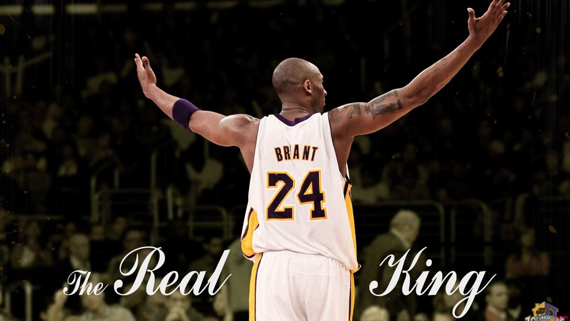 开云下载-尼克斯铁蹄踏碎黄蜂，字母哥惊天一掷定江山！